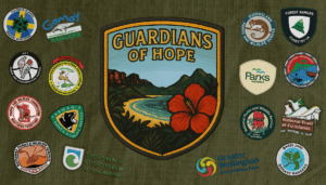 Guardians of Hope - Download