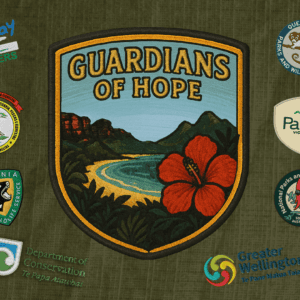 Guardians of Hope - Download